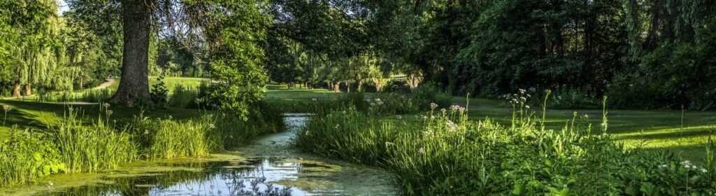 Игорная лицензия Кахнаваке Hero Image