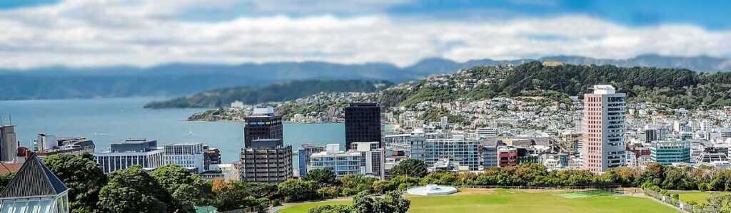 Инвестиционная лицензия в Новой Зеландии Hero Image