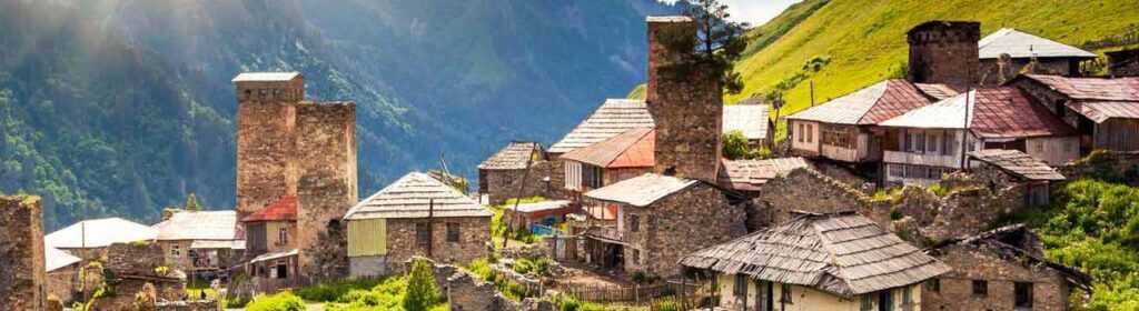 Лицензия платежной системы Грузия Hero Image