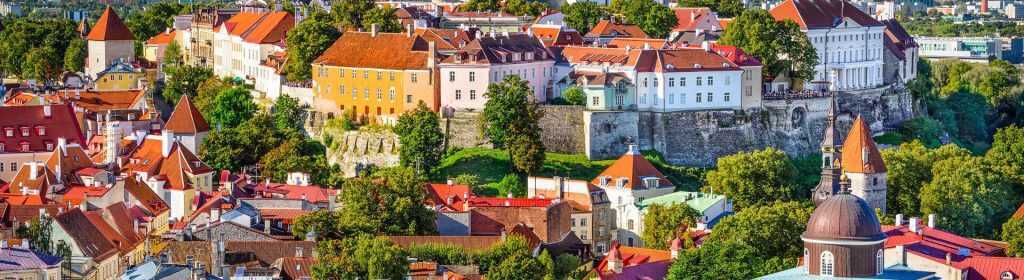 Estonia Payment System License