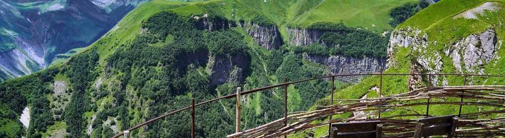 Licencia del sistema de pago de Georgia