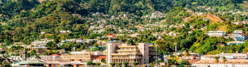 Getting a Forex License in Saint Vincent and the Grenadines | Prifinance